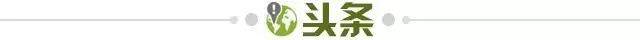 开云体育-【早报】英超夺冠路，有人欢喜有人愁